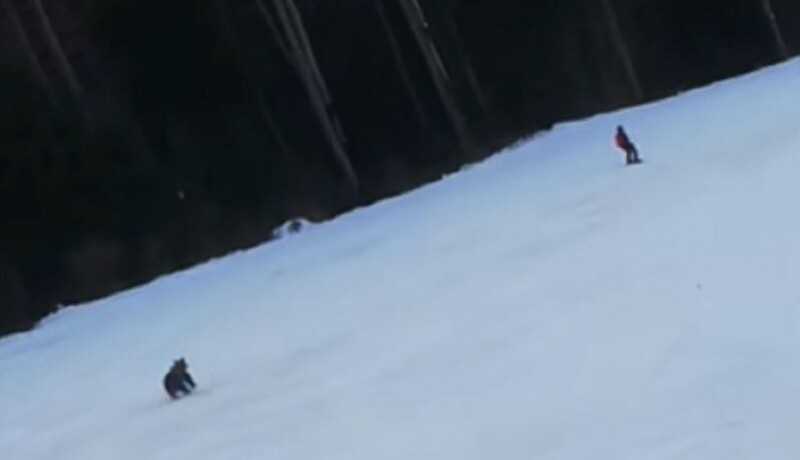 ae4052bf7f2d7642ebdceae4ca0179ca