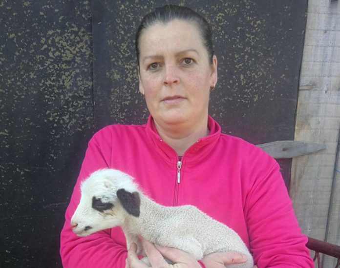 alma janje naslovna00 696x549 1