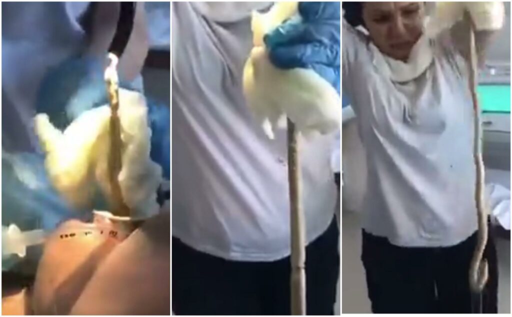 b624fe5d1182dccd55e5