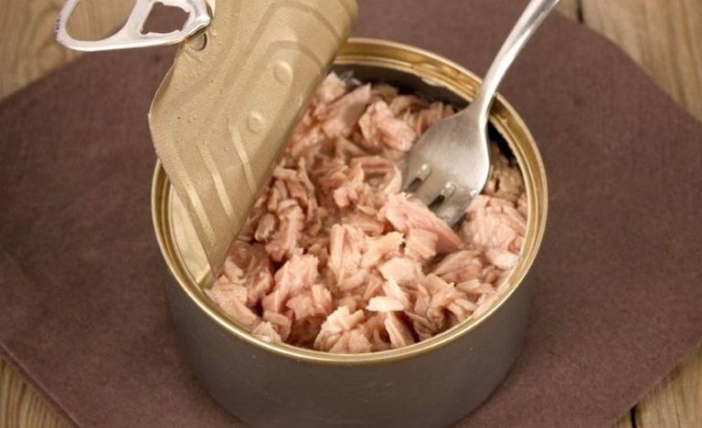 Konzervirana tunjevina sadrži 100 puta više cinka nego što je sigurno za organizam