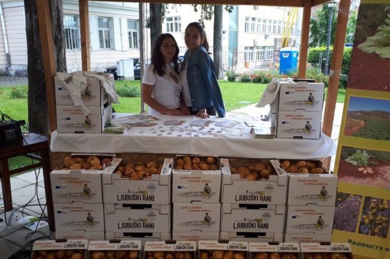 Mladi krompir postao ljubuški brend prepoznatljiv širom BiH