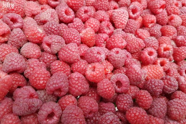 Organski proizvođači iz BiH, Srbije i Hrvatske razmatrali formiranje konzorcija