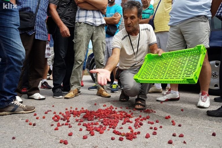 Poznata otkupna cijena malina za ovu sezonu u BiH