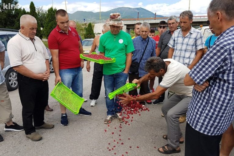 Kiša najveći problem malinara, otkupne cijene malina i dalje padaju