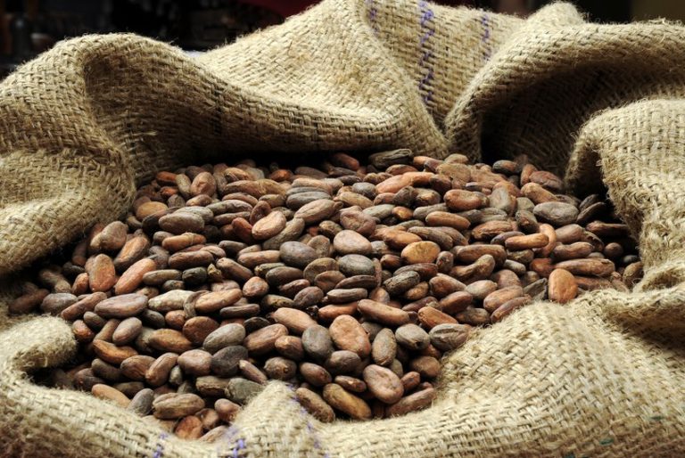 Federalna inspekcija spriječila uvoz pošiljke kakaa u zrnu od 100.000 KM