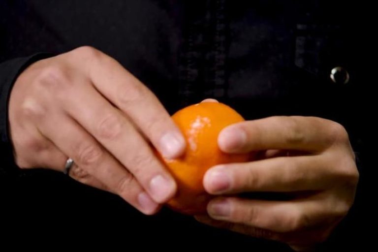 Zašto savremeno voće i povrće ima manje hranjivih sastojaka nego prije 50 godina