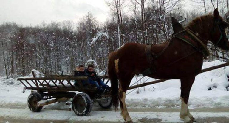 Dječaci u školu putuju konjskom zapregom