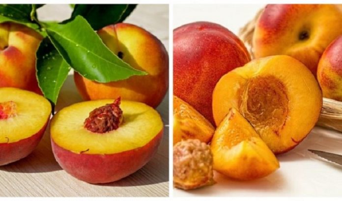 breskva365505 befunky collage f 1 696x409 1