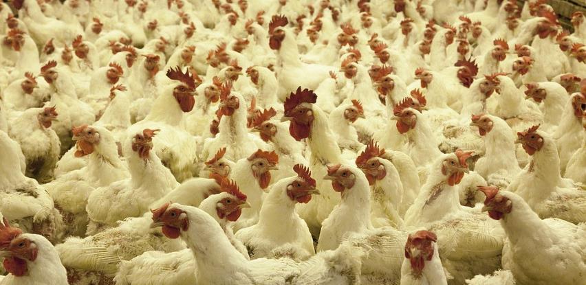 c0fbcee7 4f23 4bdc 9e98 dae464233623ferf