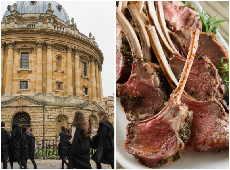 c5605fd68a39a0adde4da03d97330941