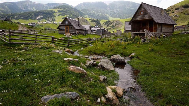 c67097533d1b840581aa41ad39074e8d