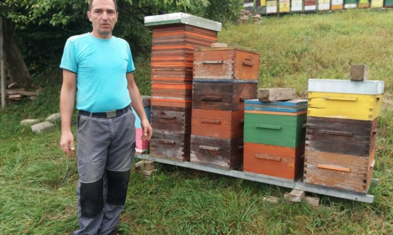 c8e9b398b4d3a759953c9eb1420a9ef9