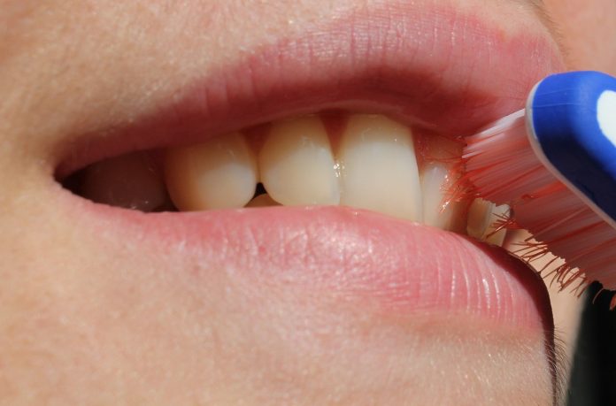 Nevjerovatno otkriće: Zamislite da vam zub ponovo izraste za samo 9 sedmica