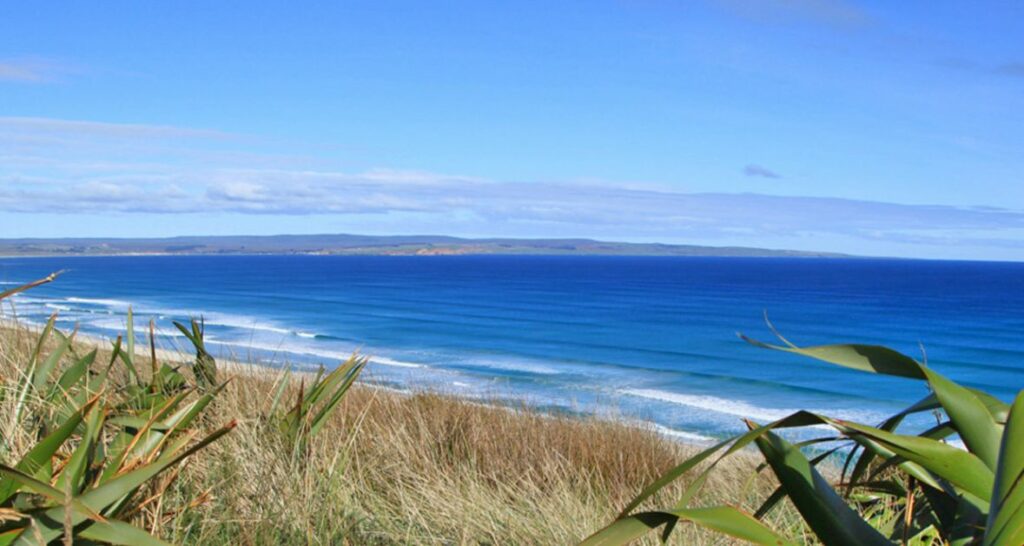 chatams novizeland novembar