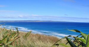 chatams novizeland novembar