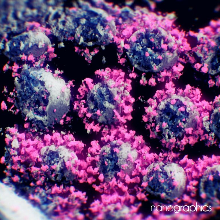 Bečki naučnici omogućili novi 3D prikaz koronavirusa