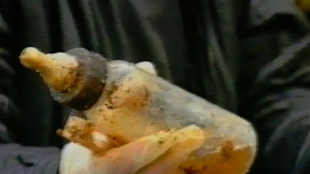 cucla amile dzaferagic