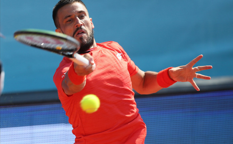 damir dzumhur