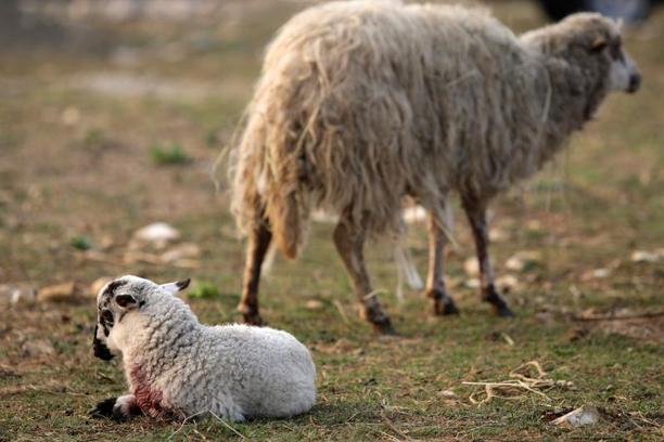 dc2b5093b1cf16a535bf