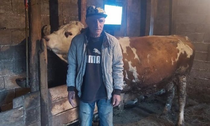 dd3bb103a6ca1dfd42fe04c378a0d206 696x418 1