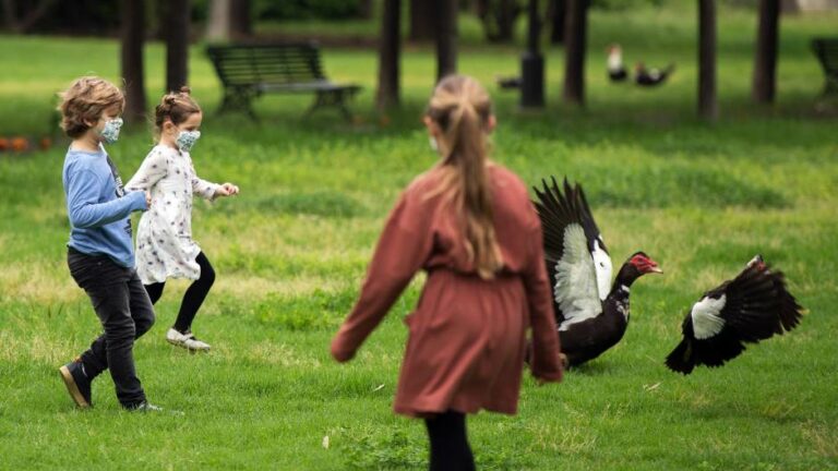 Jesu li djeca značajan izvor širenja zaraze koronavirusom?