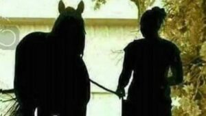 djevojka konj iluzija 696x392 1