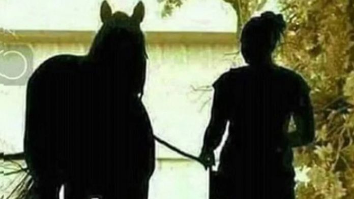 djevojka konj iluzija 696x392 1