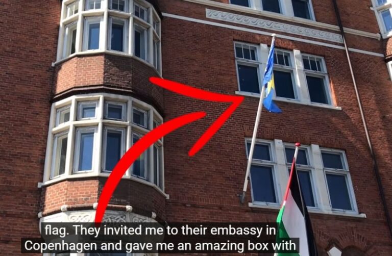 Jutjuber pisao državama da mu pošalju svoju zastavu, Bisera Turković ga iznenadila