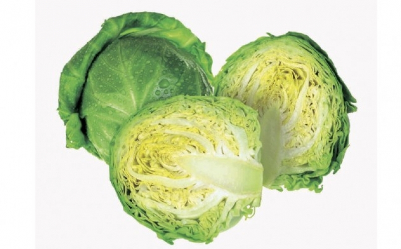 f867d143e5e1712e419ba971a1505cf2