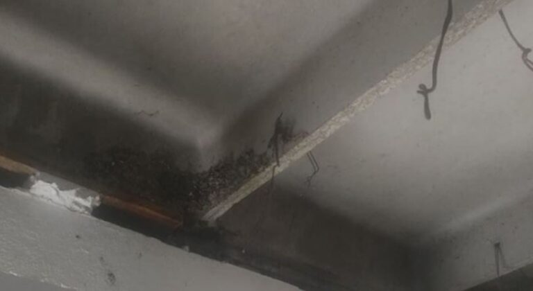 Nesvakidašnja drama porodice u BiH: Ose srušile plafon u spavaćoj sobi