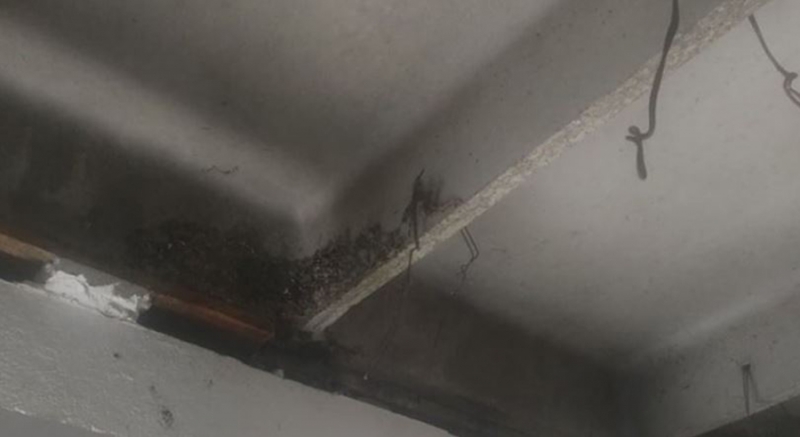 fd61763d7f2dcb6880e41da4d30ebc62