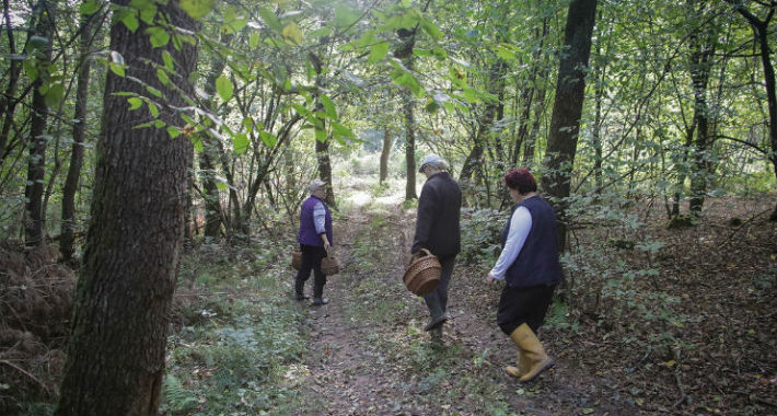 Kilogram trenutno 150 KM: ”Poznajem ženu koja je za jednu sezonu kupila novi auto”