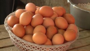 jaja 2 n1 125381 750x422 1