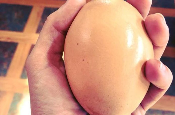 Na farmi pronašli ogromno jaje, a u njemu – iznenađenje (FOTO)