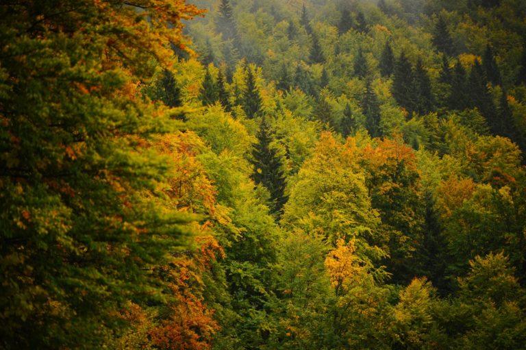 Stiže hladnija zima s arktičkim prodorima