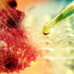 karcinom rak terapija ilustracija cancer center 696x366 1