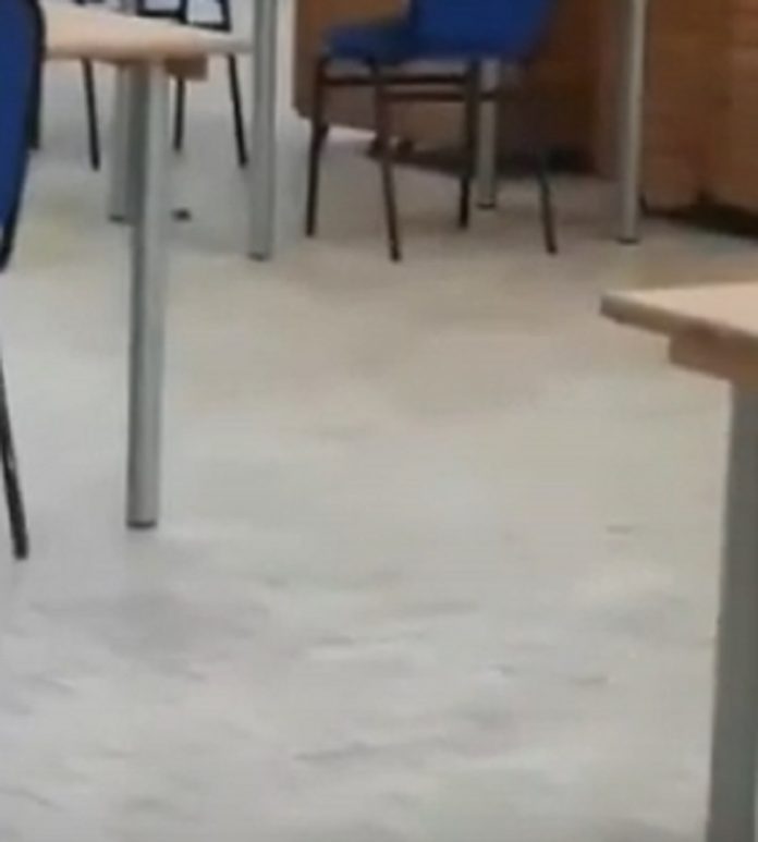 kasarnarajlovacmisevi 696x773 1