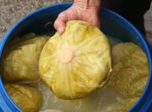 kiseli kupus 24satahr 696x515 3