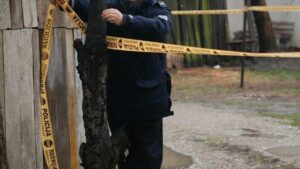 kolobara verica 2005