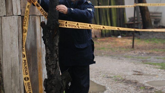 kolobara verica 2005