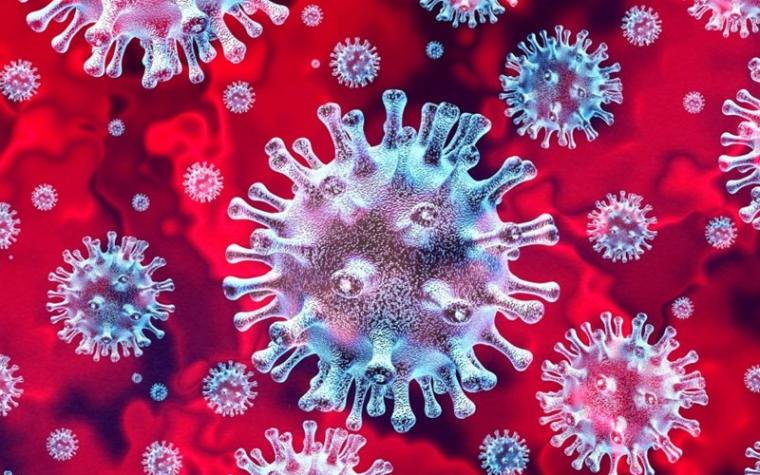 Skoro 30 miliona zaraženih koronavirusom u svijetu, preminulih više od 920 hiljada