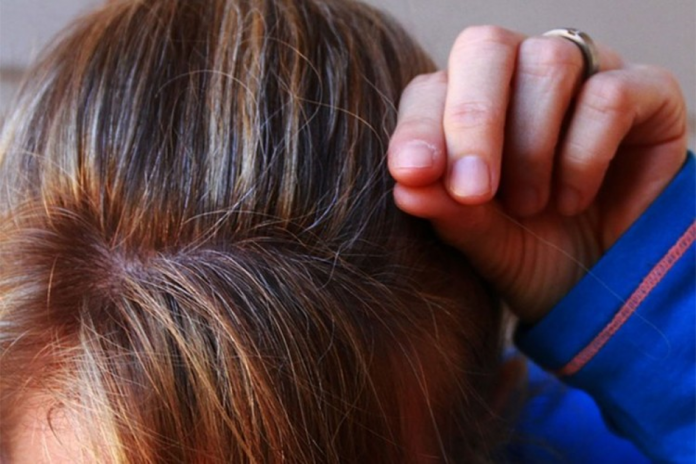 kosa sijeda22 696x464 1