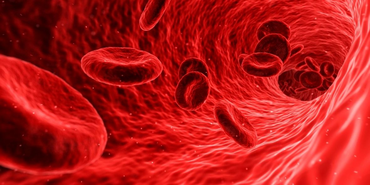 krvna grupa laboratorija istrazivanje organizam nauka pixabay