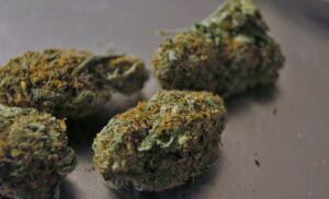 marihuana 1 960x556 1