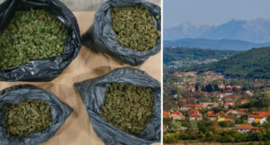 marihuana trilj
