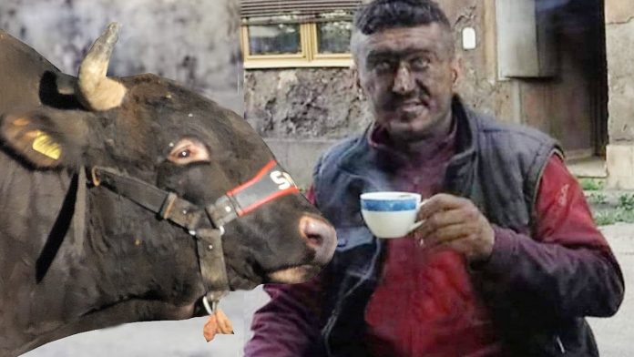 maxresdefault 4 696x392 1