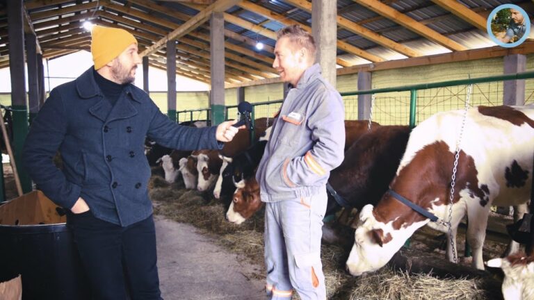 Medicinar za šest godina stvorio bogatstvo:”Bolje je ovdje raditi 25 sati nego vani 10″ (VIDEO)