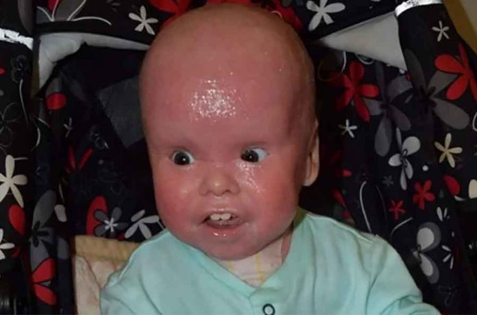 mihail vinter 696x459 1