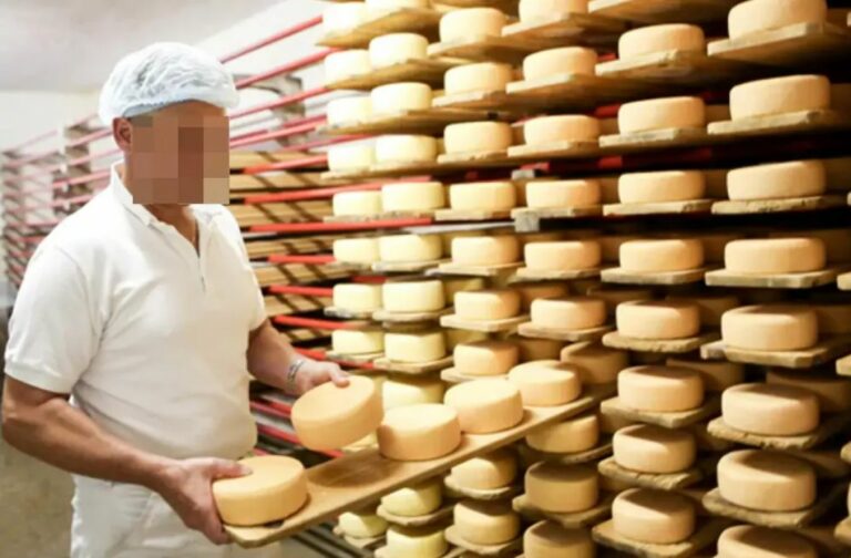 Krivična prijava protiv direktora mljekare: 10 mrtvih zbog kontaminiranog sira