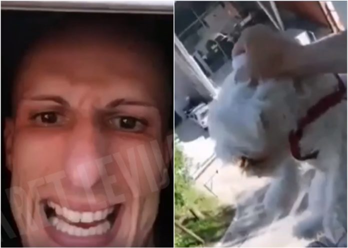 monstrum iz tuzle 696x496 1